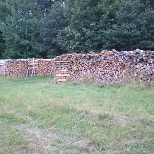 Holzlagerplatz
