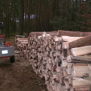 Holzlagerplatz