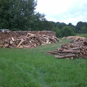 Holzlagerplatz