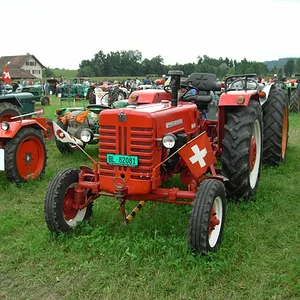 natülich auch IHC