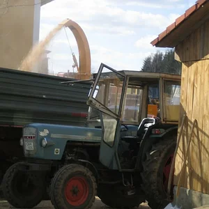 Eicher 3353
