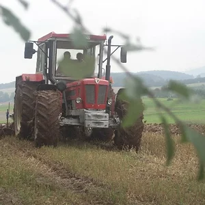 Schlüter am Grubben