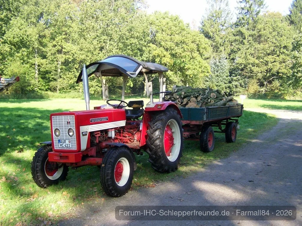 1. Holzeinsatz 2010