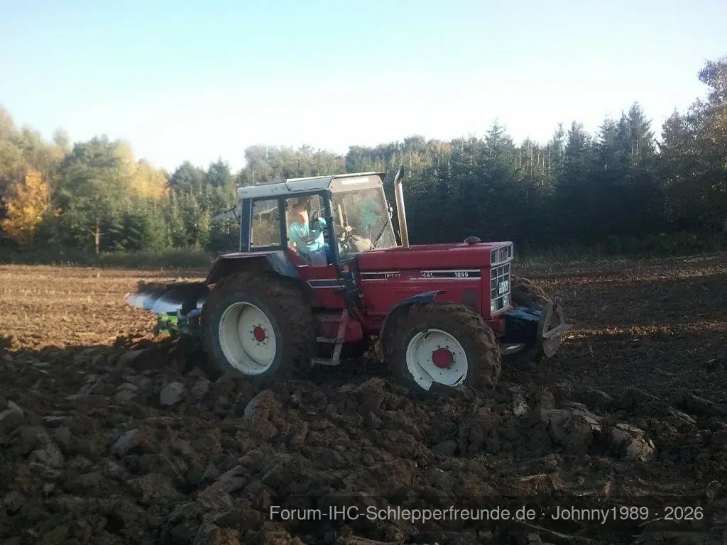 1255 mit Gassner 4 Schar