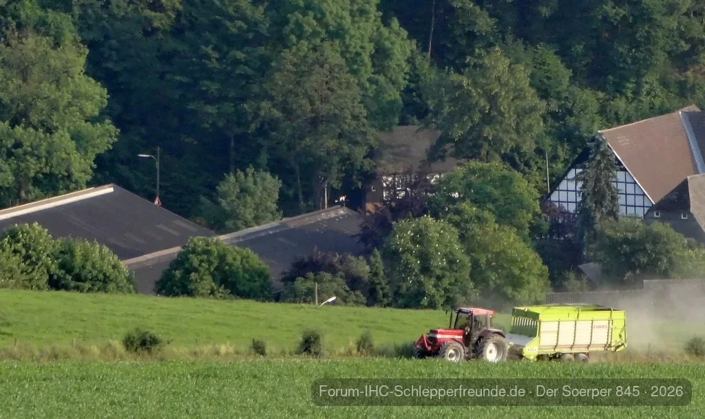 2. Schnitt beim Nachbarn