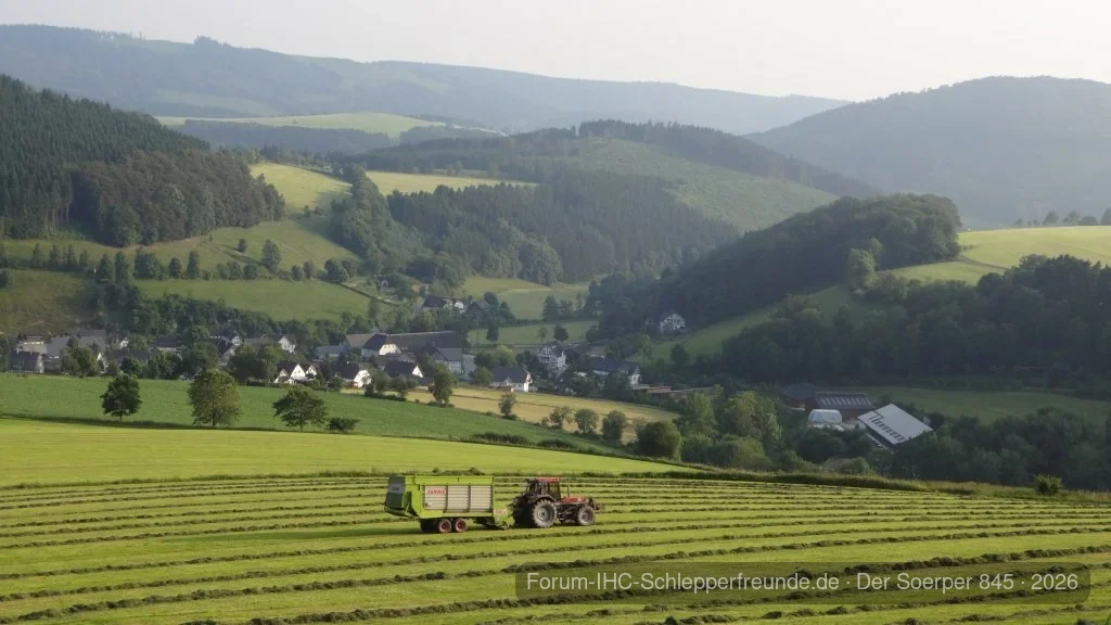 2. Schnitt beim Nachbarn