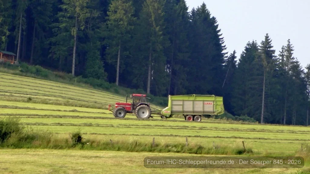 2. Schnitt beim Nachbarn