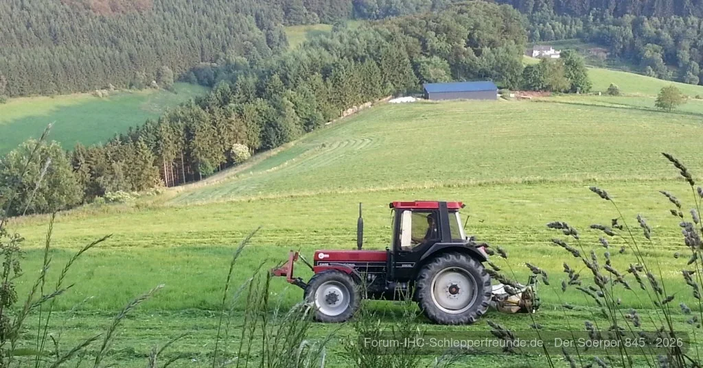2. Schnitt beim Nachbarn