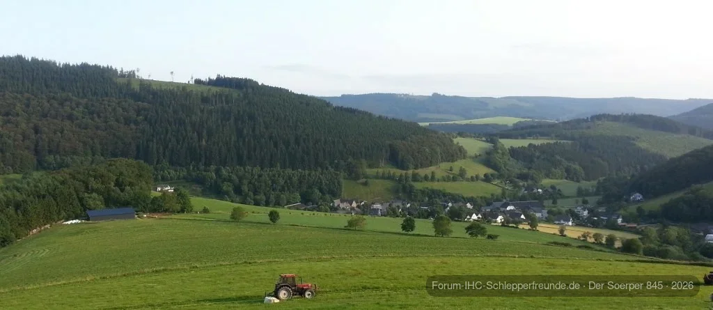 2. Schnitt beim Nachbarn