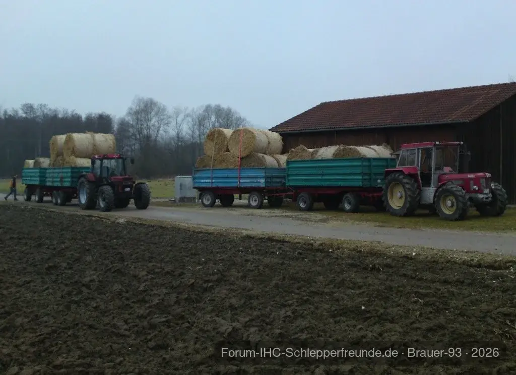 30 Stück geladen
