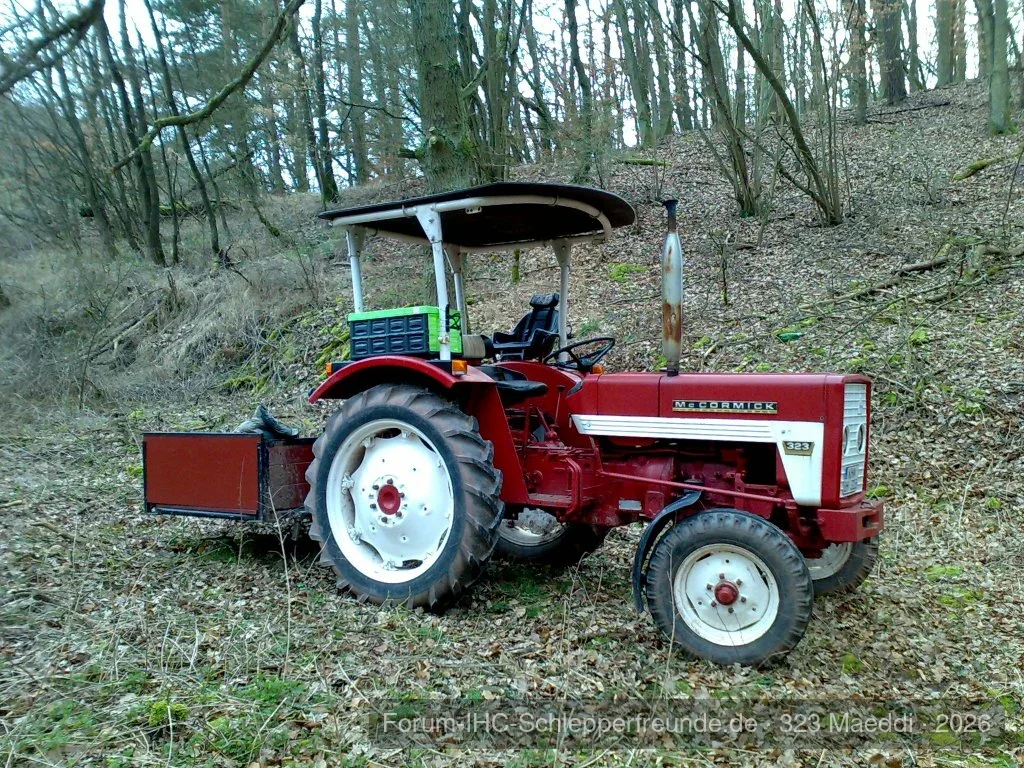 323 Maeddi