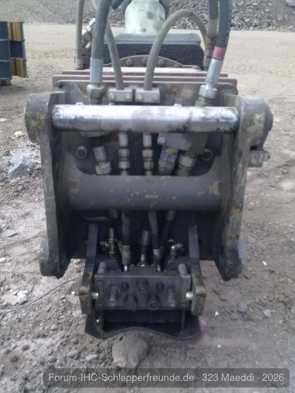 323 Maeddi