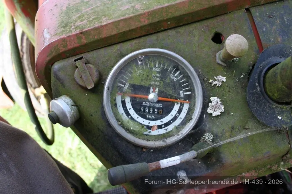 323