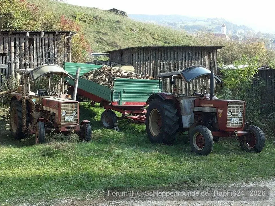 353 und 624 S beim Holz machen