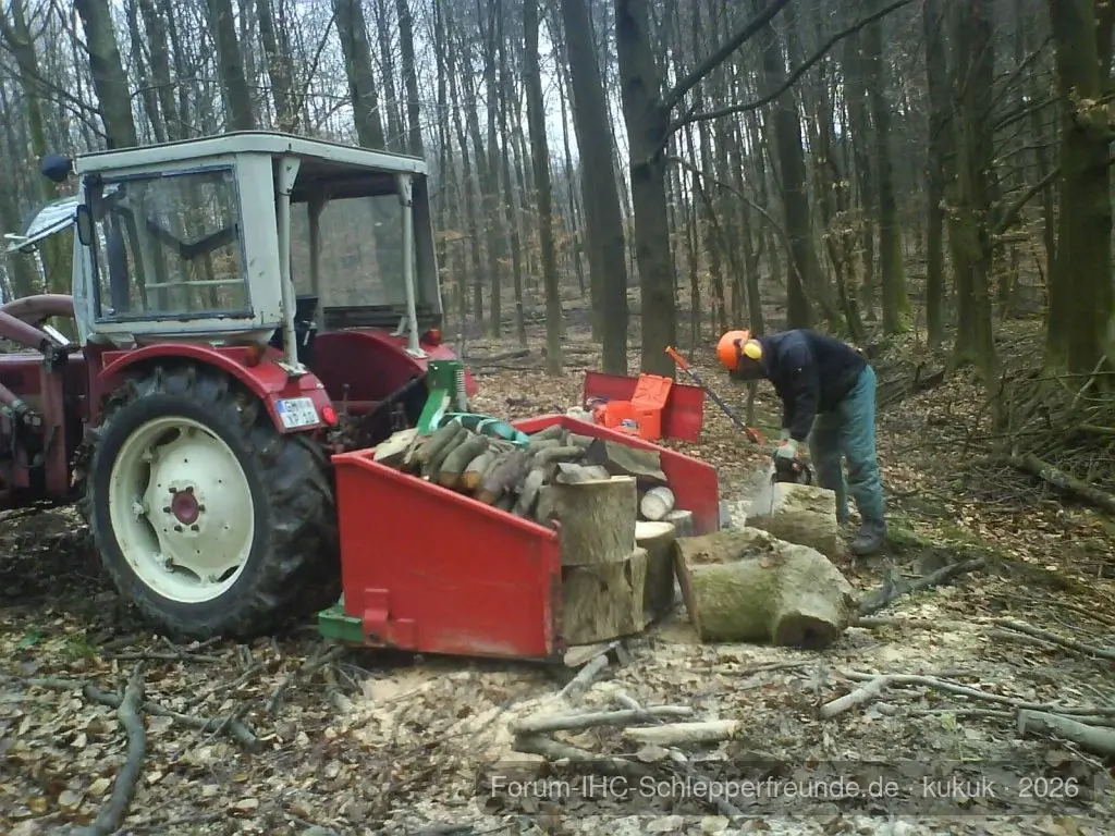 423 im Wald