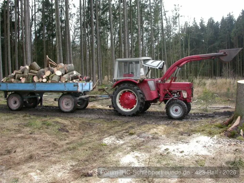 423 im Wald