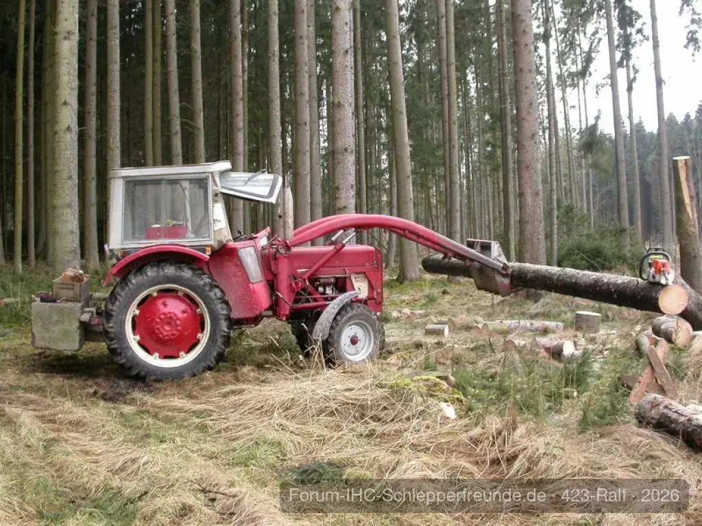 423 im Wald