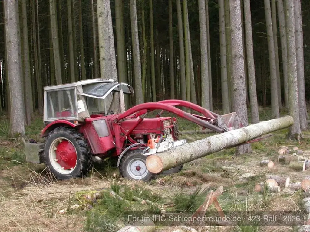 423 im Wald