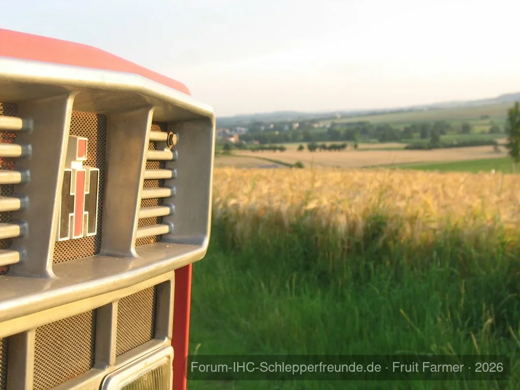 433 in der Abendsonne