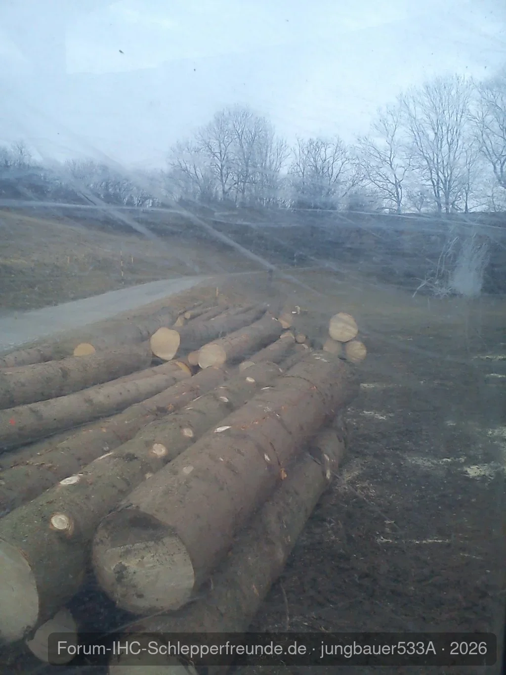 533A beim Holzmachen