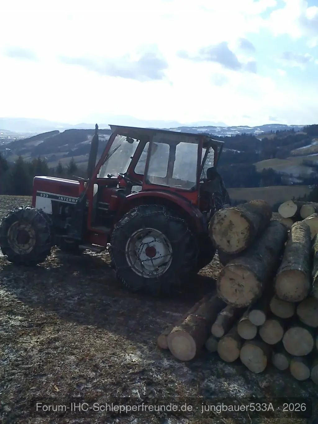 533A beim Holzmachen