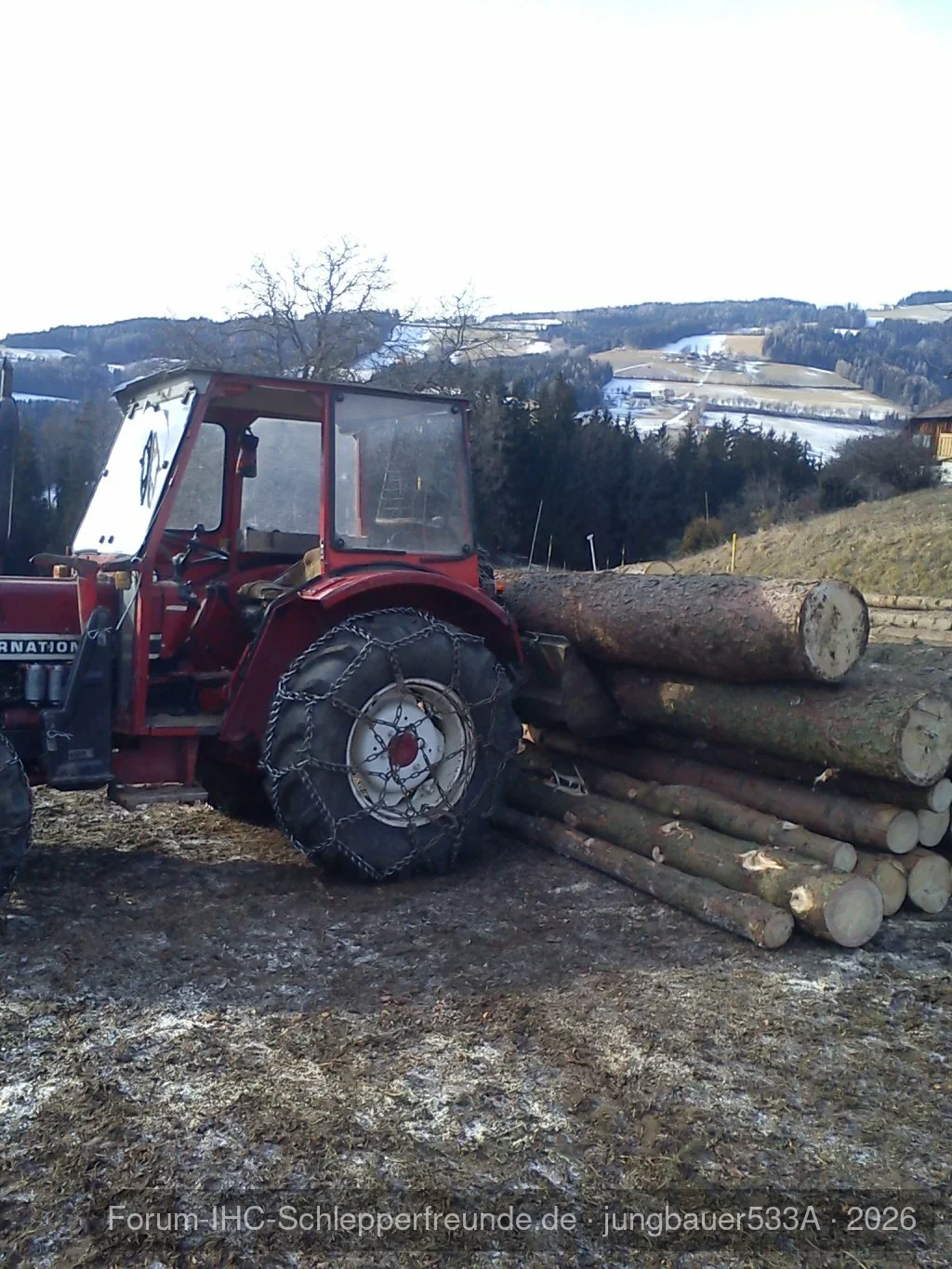 533A beim Holzmachen