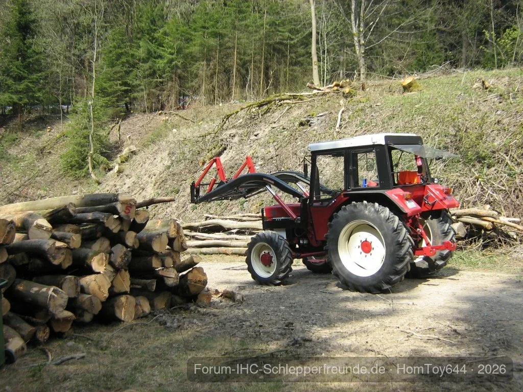 644 im Holz Frühjahr 2011