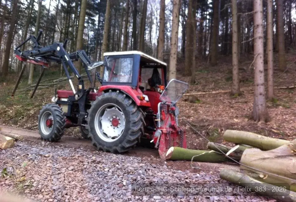 744 im Wald