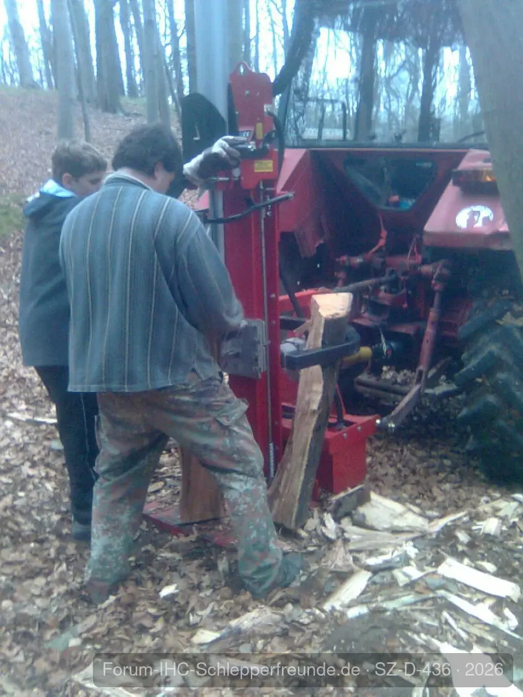 745 im Wald