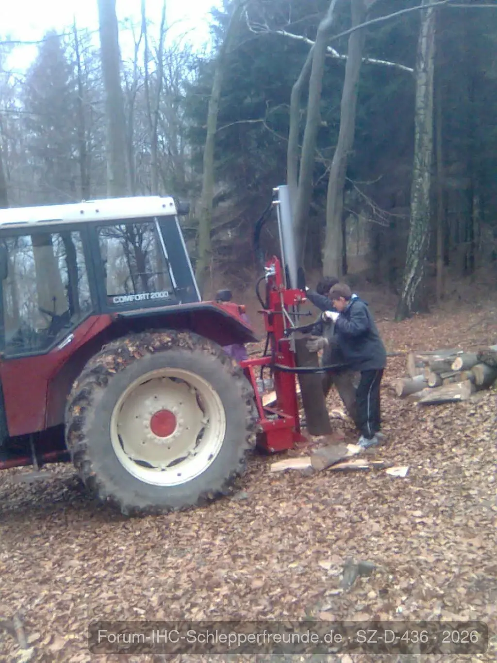 745 im Wald