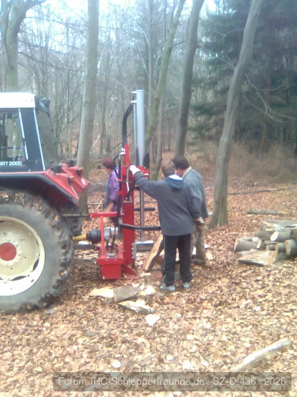 745 im Wald