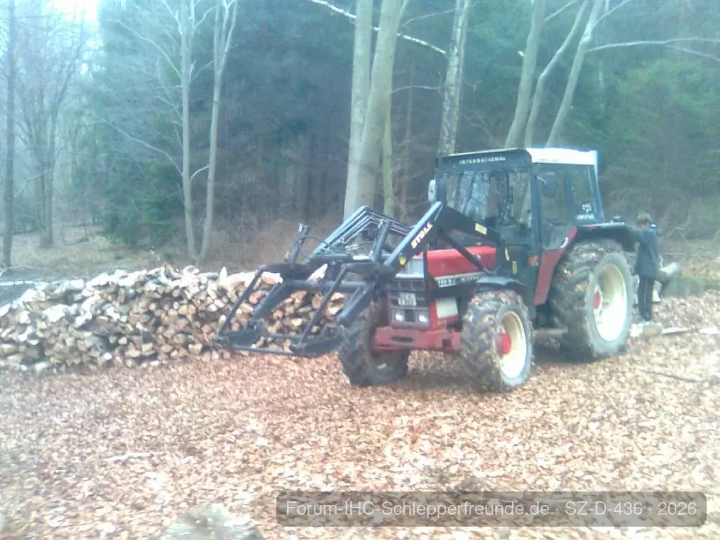 745 im Wald