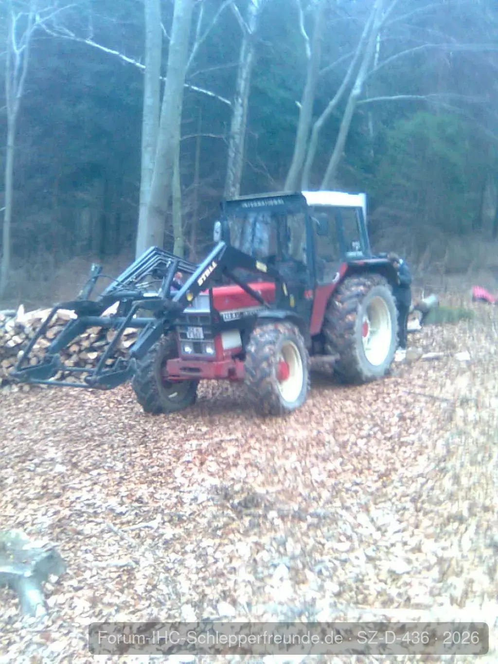 745 im Wald