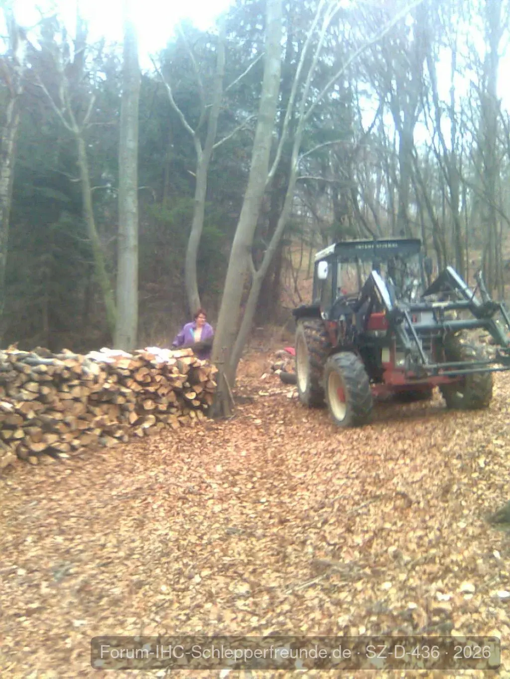 745 im Wald
