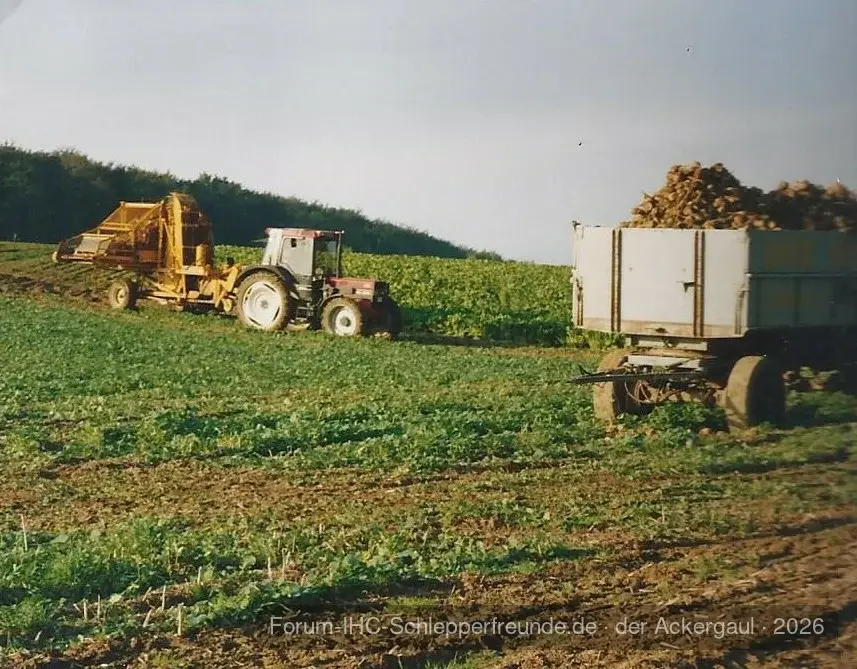 856XL