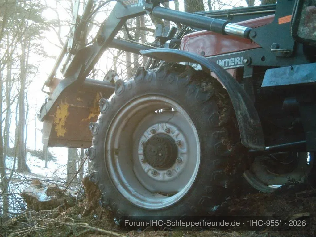 940 im Wald