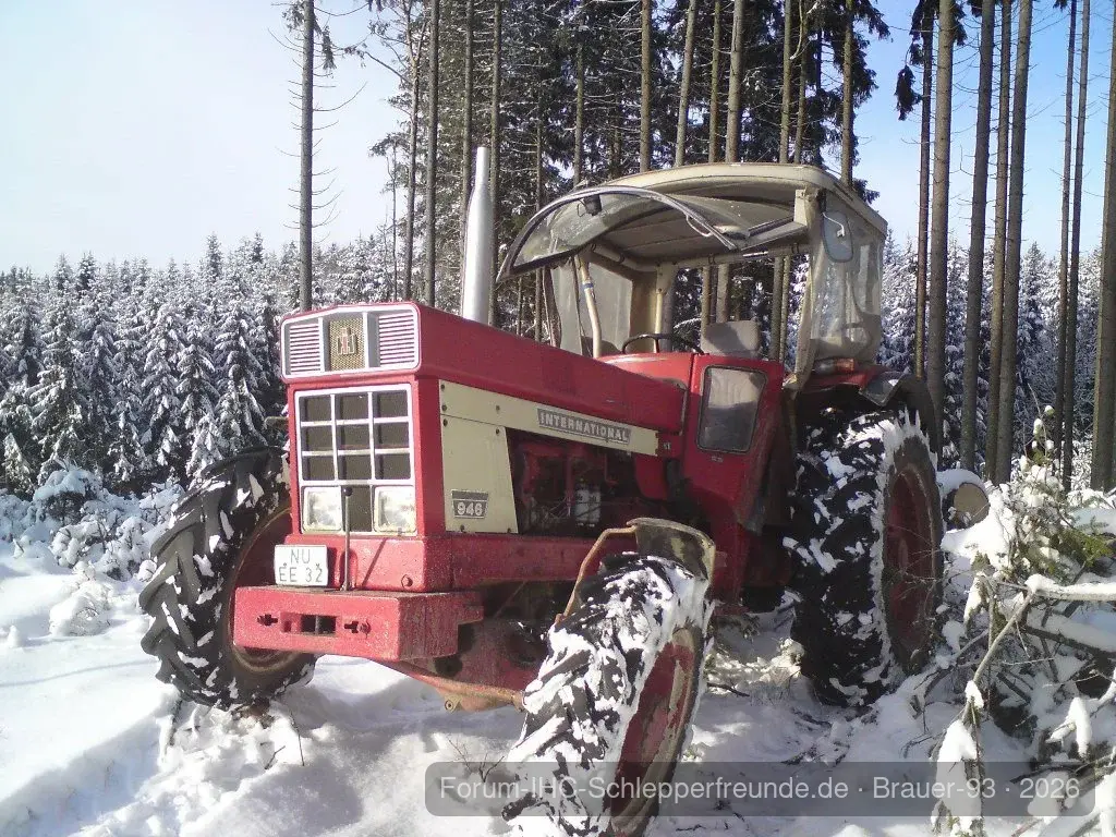 946 im Wald