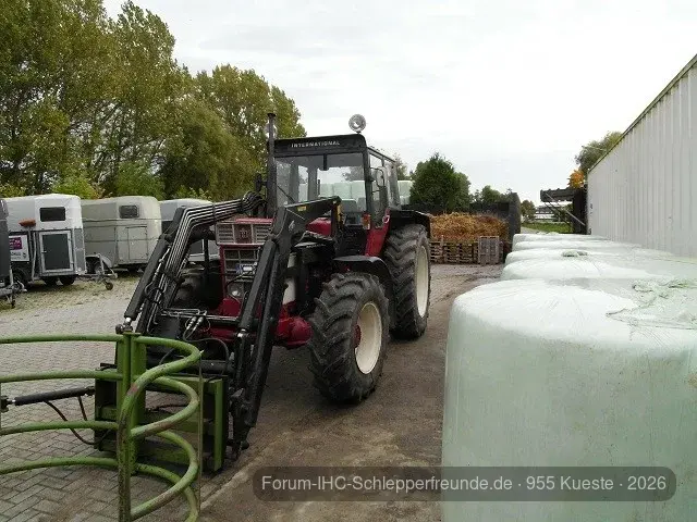 955 Küste