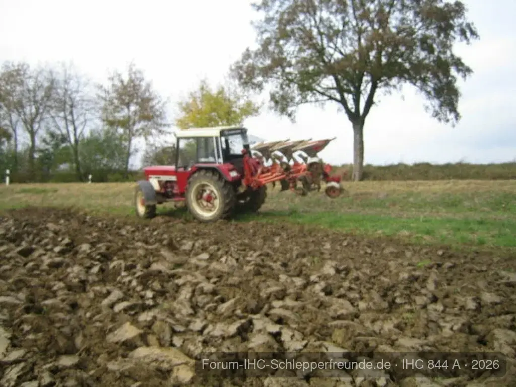 Ackern 2009