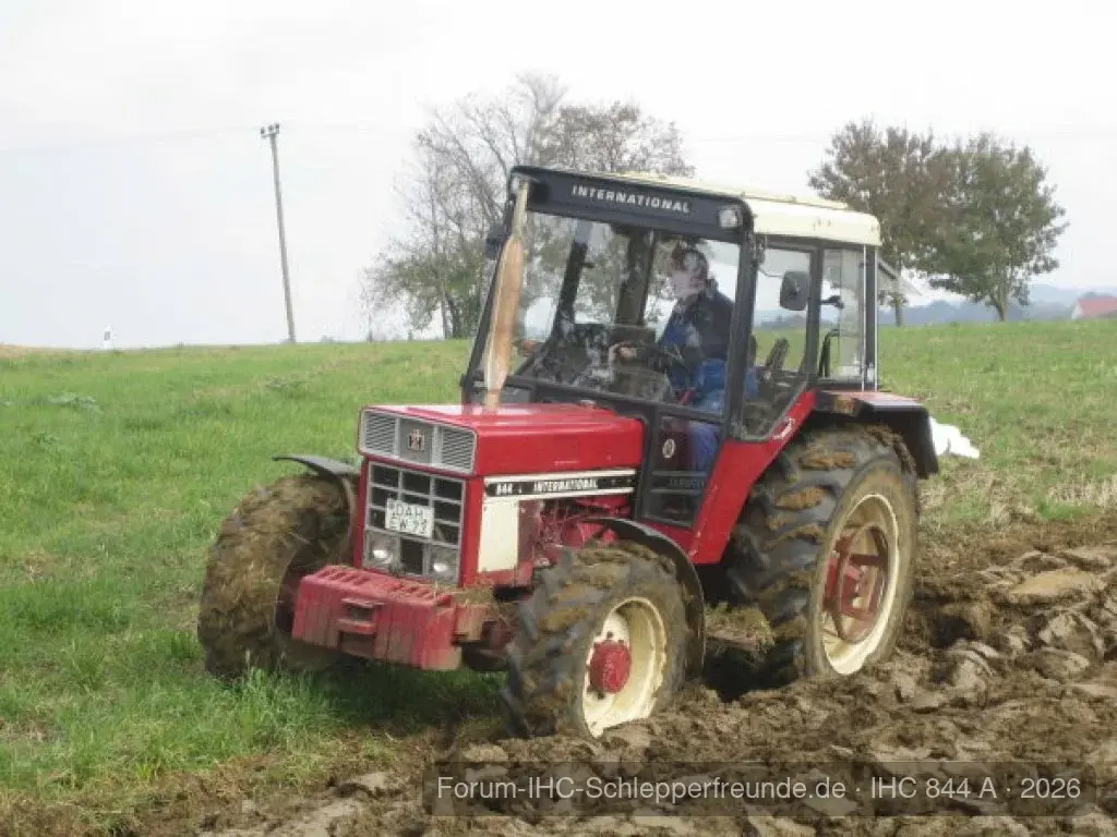 Ackern 2009