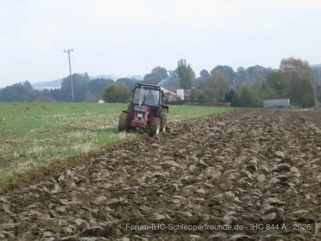 Ackern 2009
