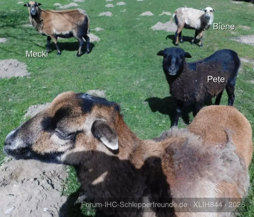 Alle im "Farbwechsel"