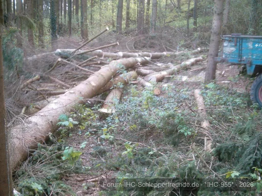 Aufräumarbeiten