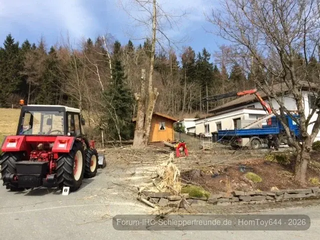 Baumschnitt