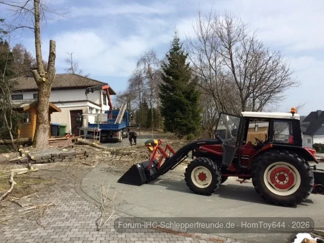 Baumschnitt