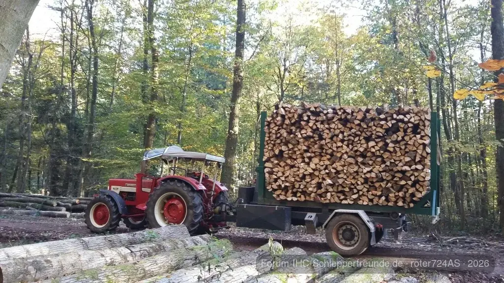 Beim Holz machen