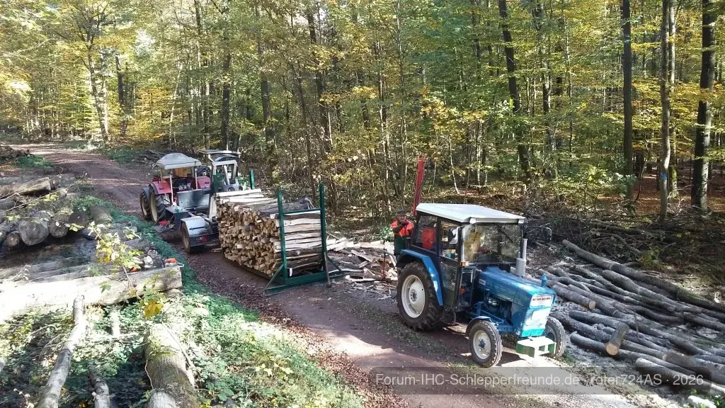 Beim Holz machen