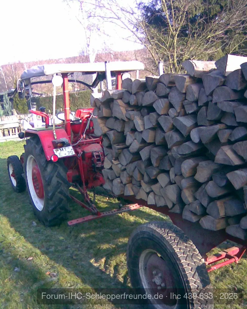 Beim Holzaufladen