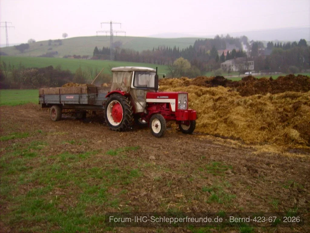 Bernd