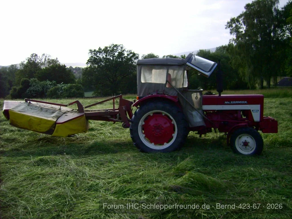 Bernd